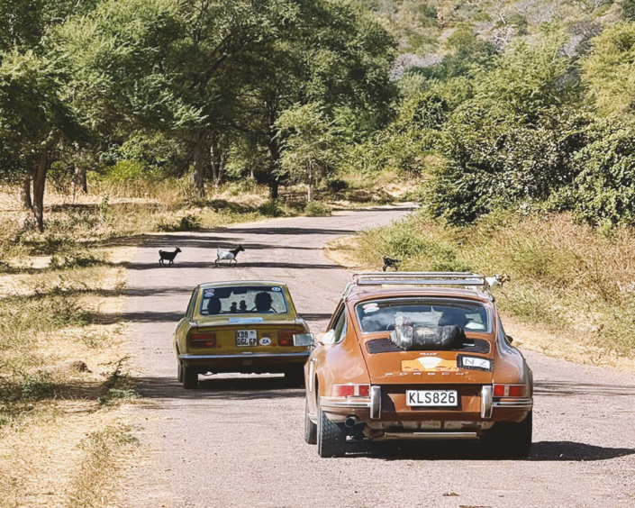 Teambuilding - Fiat 124 Sport und Porsche 911 Teambuilding - Fiat 124 Sport und Porsche 911 - warten auf das Ende der Ziegenherde