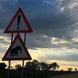 Vorsicht Elefanten! Mission Afrika - Schilder die man hier nicht sieht. Vorsicht Elefanten!